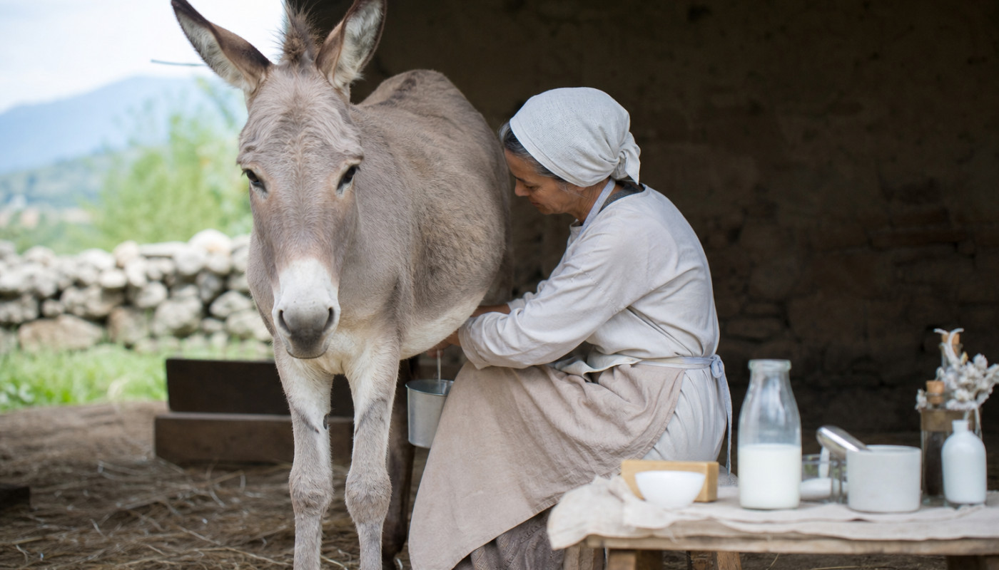 Le lait d'ânesse : un actif de vieille date